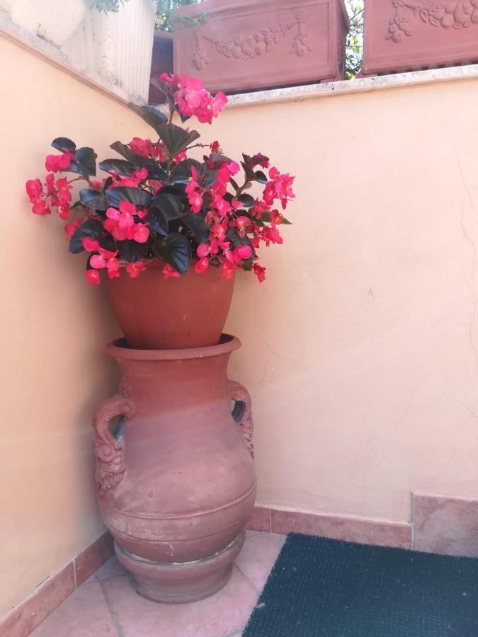 Da Francesca A Pisa Villa Luaran gambar